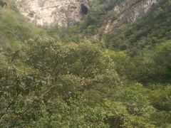 -北京上方山国家森林公园