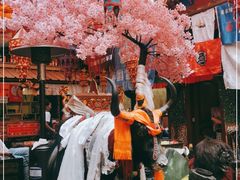 -吉祥圣雪藏餐