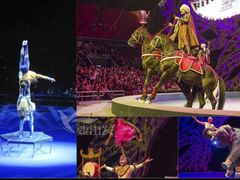 -珠海横琴长隆《卡卡虎奇遇记》