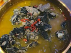 -Darling Queen·Mini·Live·House