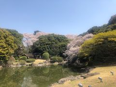 -东京国立博物馆