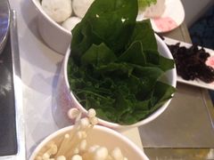 -阿香婆欢乐火锅(淄博万象汇店)
