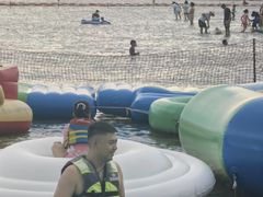 -呼兰河口湿地公园