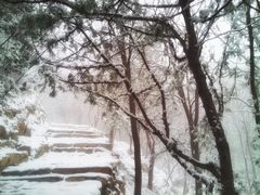 -北京鹫峰国家森林公园