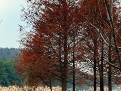 -南京市无想山景区