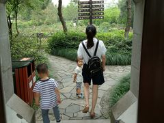 赵园月季园-赵园·曾园