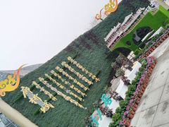 -南山植物园