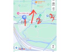 -上海滨江森林公园