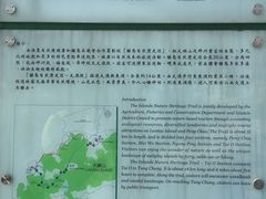 -大澳