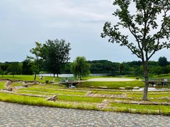 -盘龙城国家考古遗址公园