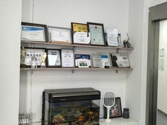 -皓洁口腔门诊部(金色雅园金涛苑店)