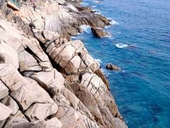 -广东惠东海龟国家级自然保护区