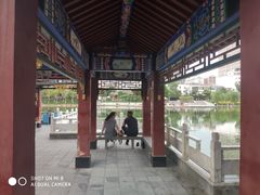 -雁滩公园