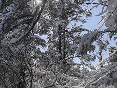 -瓦屋山景区