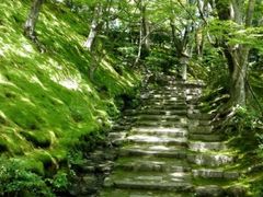 -常寂光寺