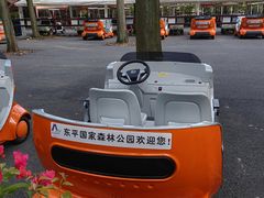 -东平国家森林公园