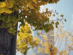 -两江幸福广场