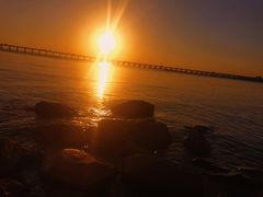 -宝安西湾红树林湿地公园