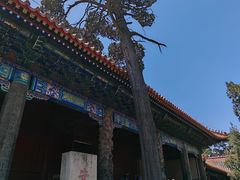 -孔府