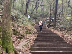 -惠山国家森林公园