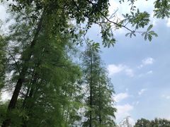 -桃花涧