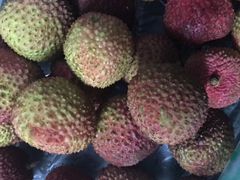 -和颐酒店(广州琶洲会展中心广州塔赤岗地铁站店)