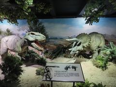 -国家自然博物馆