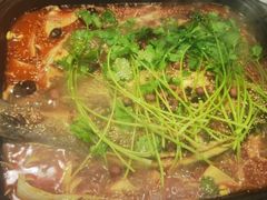 -東豫狼鲜货烧烤. 碳火烤鱼. 小龙虾(上海首店)