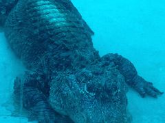 -新疆天山野生动物园