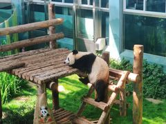-大连森林动物园