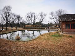 -西溪国家湿地公园