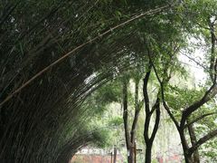 -房湖公园