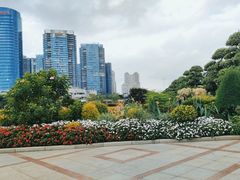 -顺峰山公园