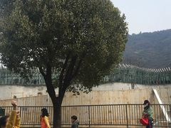 -无锡动物园·太湖欢乐园