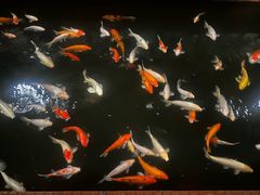 -侠成水上农庄(工业大道店)
