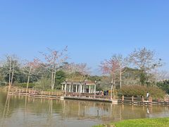-中国科学院西双版纳热带植物园