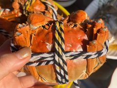 -七的湖·江南蟹舫·阳澄湖农家菜(蟹舫苑店)