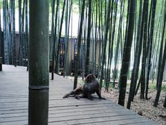 -苏州环秀晓筑养生度假村