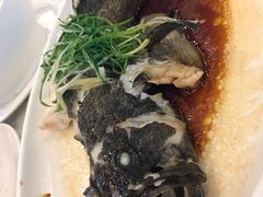 清蒸小石斑-外沙疍家棚酒楼