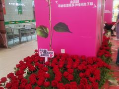 -沈阳百联购物中心(青年大街店)