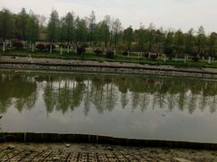 -滨湖塘西河公园