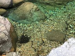 -石台牯牛降景区