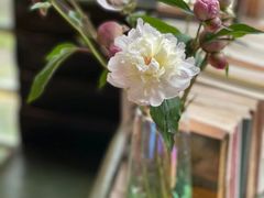 -NLFS1983咖啡花园餐厅(锦桂店)