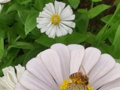 -帽儿山国家森林公园