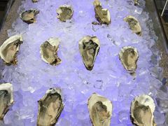 -视界美食自助餐厅·石家庄希尔顿酒店