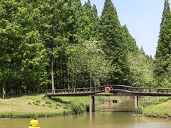 -黄海国家森林公园