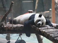 -青藏高原野生动物园