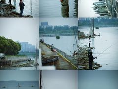 -贡湖湾湿地公园