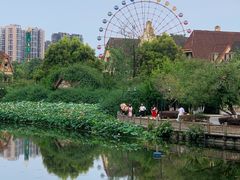 -成都南湖公园