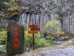 -望天鹅景区